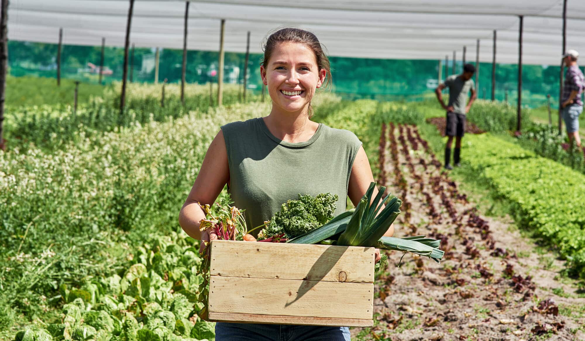 Landwirtschaft